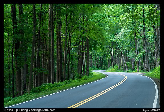 Newfound Gap Road, Tennessee. Great Smoky Mountains National Park (color)