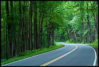 Newfound Gap Road, Tennessee. Great Smoky Mountains National Park ( color)
