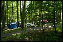 Trailer camping at Elkmont Campground, Tennessee. Great Smoky Mountains National Park, USA.