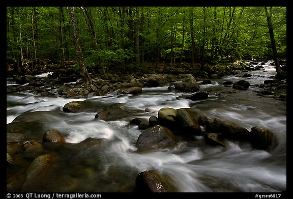 Confluence of the Middle Prong of the Little Pigeon River, Tennessee. Great Smoky Mountains National Park, USA.