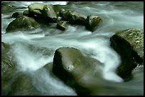 Rocks in river, Greenbrier, Tennessee. Great Smoky Mountains National Park, USA.