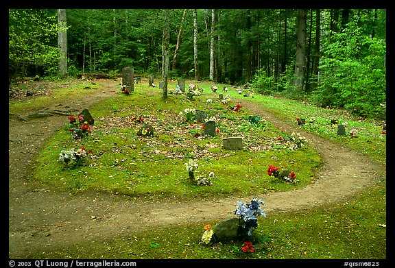 Pioneer Cemetery in forest clearing, Greenbrier, Tennessee. Great Smoky Mountains National Park (color)