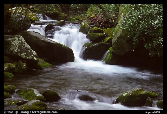 Cascade pothole, Roaring Fork River, Tennessee. Great Smoky Mountains National Park (color)