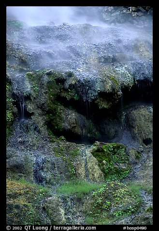 Thermal springs flowing over tufa terrace. Hot Springs National Park (color)