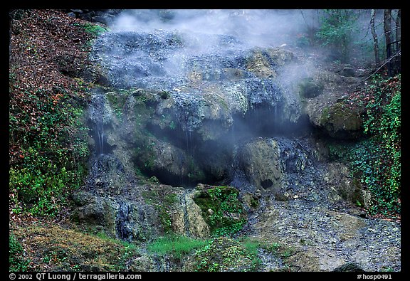 Thermal spring water flowing over tufa terrace. Hot Springs National Park (color)