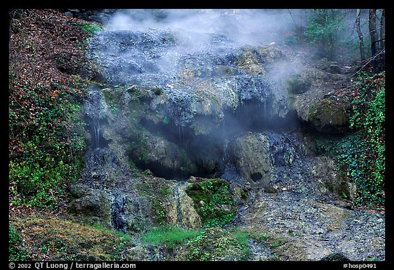 Thermal spring water flowing over tufa terrace. Hot Springs National Park, Arkansas, USA.