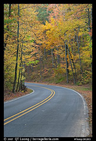 Road curve and fall colors on West Mountain. Hot Springs National Park (color)