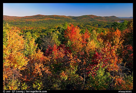 Vista with trees in fall colors, North Mountain, early morning. Hot Springs National Park, Arkansas, USA.