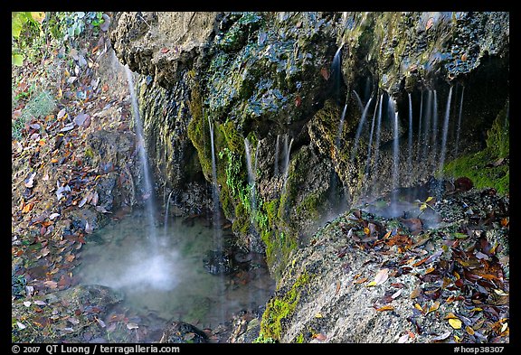 Hot water from springs flowing over tufa rock. Hot Springs National Park, Arkansas, USA.