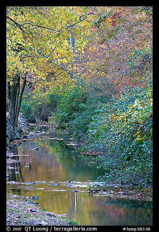 Stream and trees in fall colors, Gulpha Gorge. Hot Springs National Park (color)