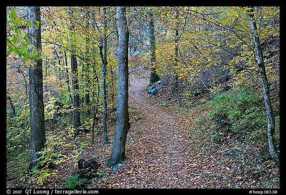 Trail and trees in fall colors, Gulpha Gorge. Hot Springs National Park, Arkansas, USA.