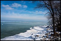 Trees on snowy lakeshore, Lake View. Indiana Dunes National Park ( color)