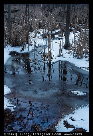 Reflections in partly thawed Great Marsh. Indiana Dunes National Park (color)