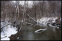 Little Calumet River with fresh snow, Heron Rookery Trail. Indiana Dunes National Park ( color)