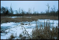 Great Marsh at dusk in winter. Indiana Dunes National Park ( color)