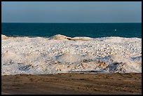 Beach and shelf ice. Indiana Dunes National Park ( color)