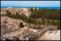 Dune Succession Trail stairs. Indiana Dunes National Park ( color)