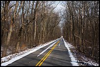 Narrow road in winter. Indiana Dunes National Park, Indiana, USA.