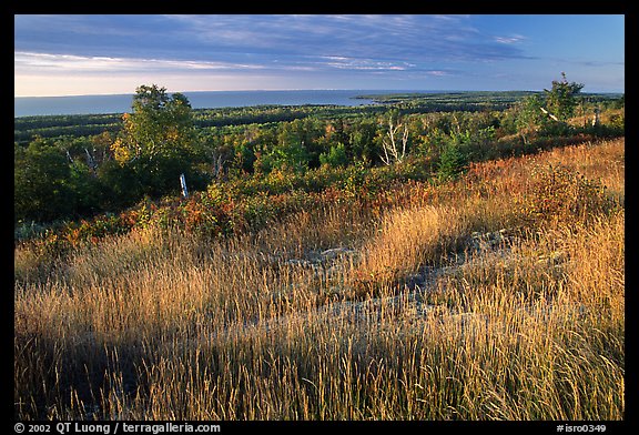 Grasses, distant forest and Lake Superior from  Greenstone ridge. Isle Royale National Park (color)