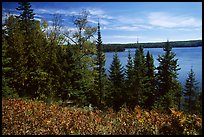 Lake Richie. Isle Royale National Park, Michigan, USA. (color)