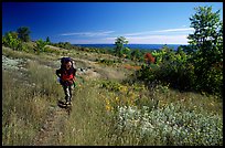 Backpacker walking on Greenstone ridge trail. Isle Royale National Park ( color)