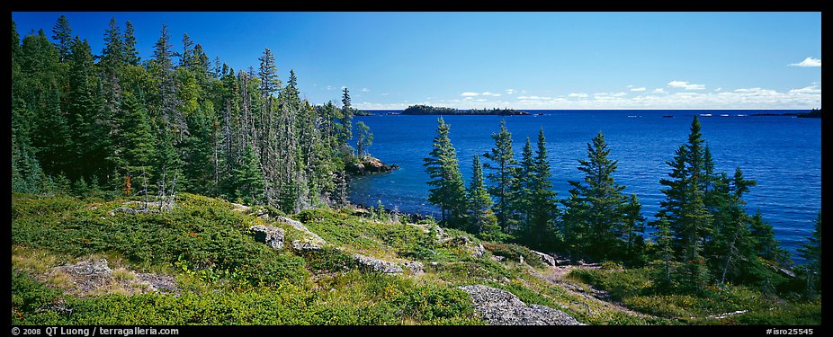 Lakeshore and trees. Isle Royale National Park, Michigan, USA.