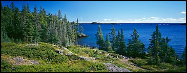 Lakeshore and trees. Isle Royale National Park, Michigan, USA.
