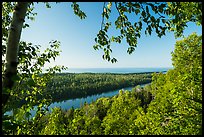 View from Louise Lookout framed by trees. Isle Royale National Park ( color)