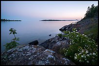 Summer wildflowers and islands, Rock Harbor, sunset. Isle Royale National Park ( color)
