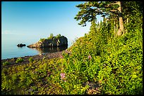 Wildflowers, offshore islet, and Lake Superior, Mott Island. Isle Royale National Park ( color)