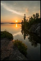 Sunrise and trees, Moskey Basin. Isle Royale National Park ( color)