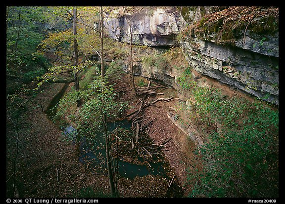 Limestone cliffs and karstic depression in autumn. Mammoth Cave National Park, Kentucky, USA.