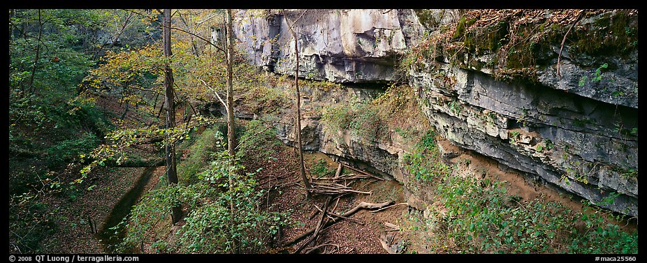 Limestone cliffs and forest. Mammoth Cave National Park (color)
