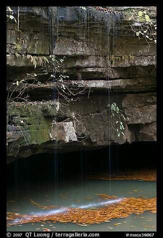 Water drips over limestone ledges and Styx. Mammoth Cave National Park, Kentucky, USA.