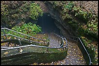 Steps and handrails leading down to cave. Mammoth Cave National Park, Kentucky, USA.