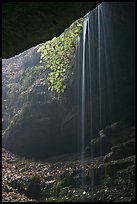 Ephemeral waterfall seen from inside cave. Mammoth Cave National Park, Kentucky, USA.