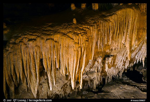 Flowstone detail, Frozen Niagara. Mammoth Cave National Park, Kentucky, USA.
