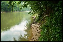 Green River in the rain at Dennison Ferry. Mammoth Cave National Park ( color)