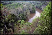 Green River seen from bluff in springtime. Mammoth Cave National Park ( color)