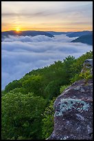 Sun rising over sea of clouds from Grandview. New River Gorge National Park and Preserve ( color)