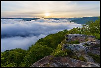 Sea of clouds at sunrise, Grandview. New River Gorge National Park and Preserve ( color)