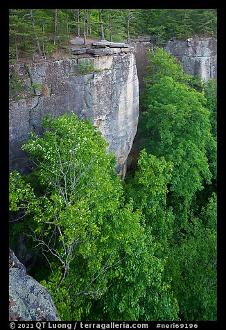 Cliffs from Diamond Point. New River Gorge National Park and Preserve (color)