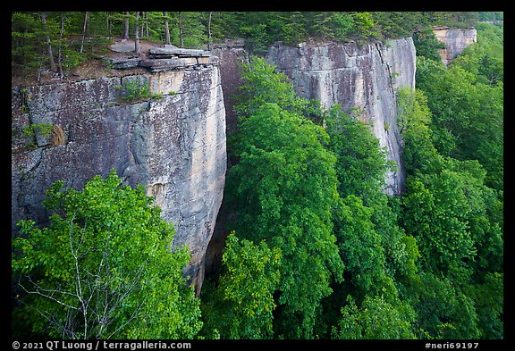 Endless Walls Cliffs from Diamond Point. New River Gorge National Park and Preserve (color)