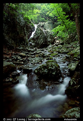 Falls of the Rose river. Shenandoah National Park, Virginia, USA.