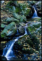 Cascades of the Hogcamp Branch of the Rose River with fallen leaves. Shenandoah National Park