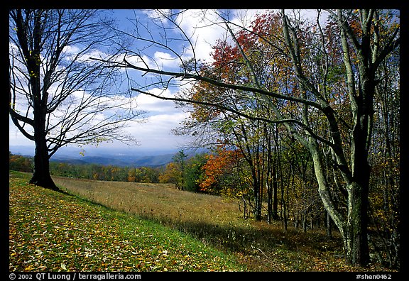 Meadow Overlook in fall. Shenandoah National Park, Virginia, USA.