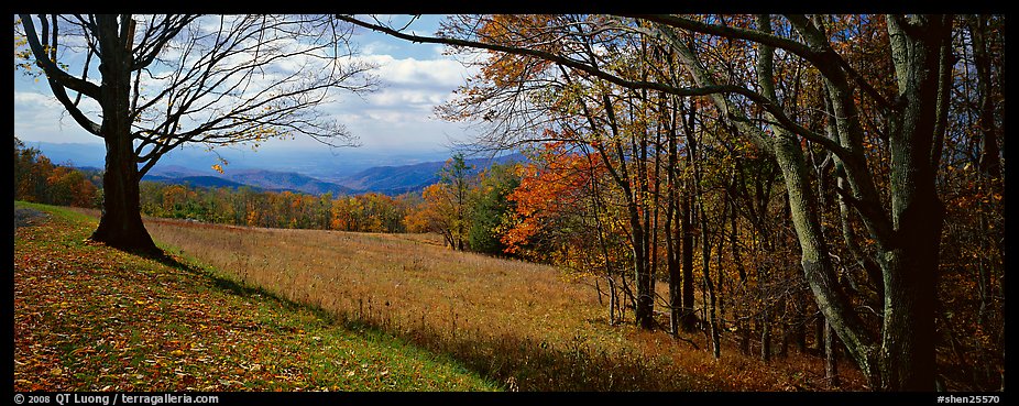 Clearing with trees in autumn colors and distant ridges. Shenandoah National Park (color)