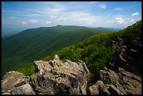 View from Hawksbill Mountain. Shenandoah National Park ( color)