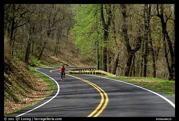 Bicyclist on Skyline drive. Shenandoah National Park, Virginia, USA.