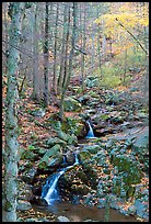 Cascades in fall, Hogcamp Branch of the Rose River. Shenandoah National Park, Virginia, USA. (color)
